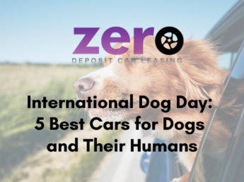 Best cars for dogs and their humans